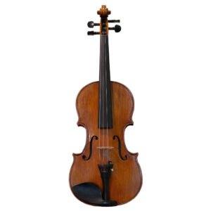 Premium Violin