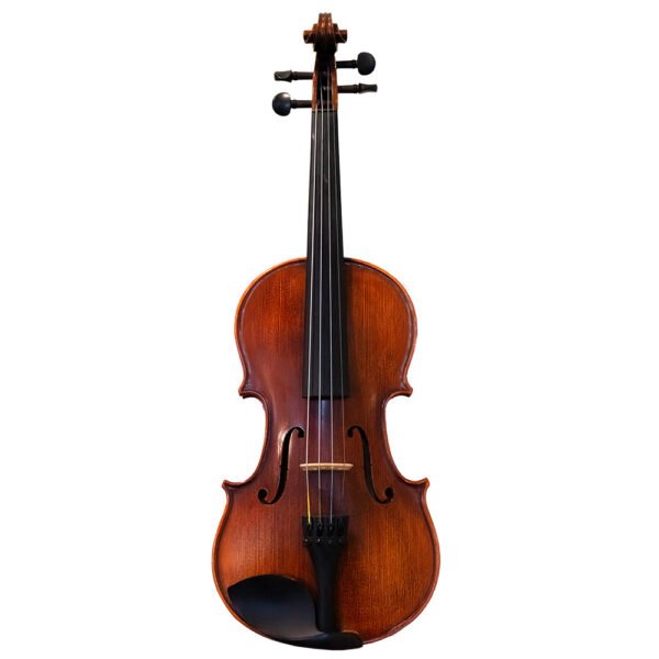 Resonant Violin