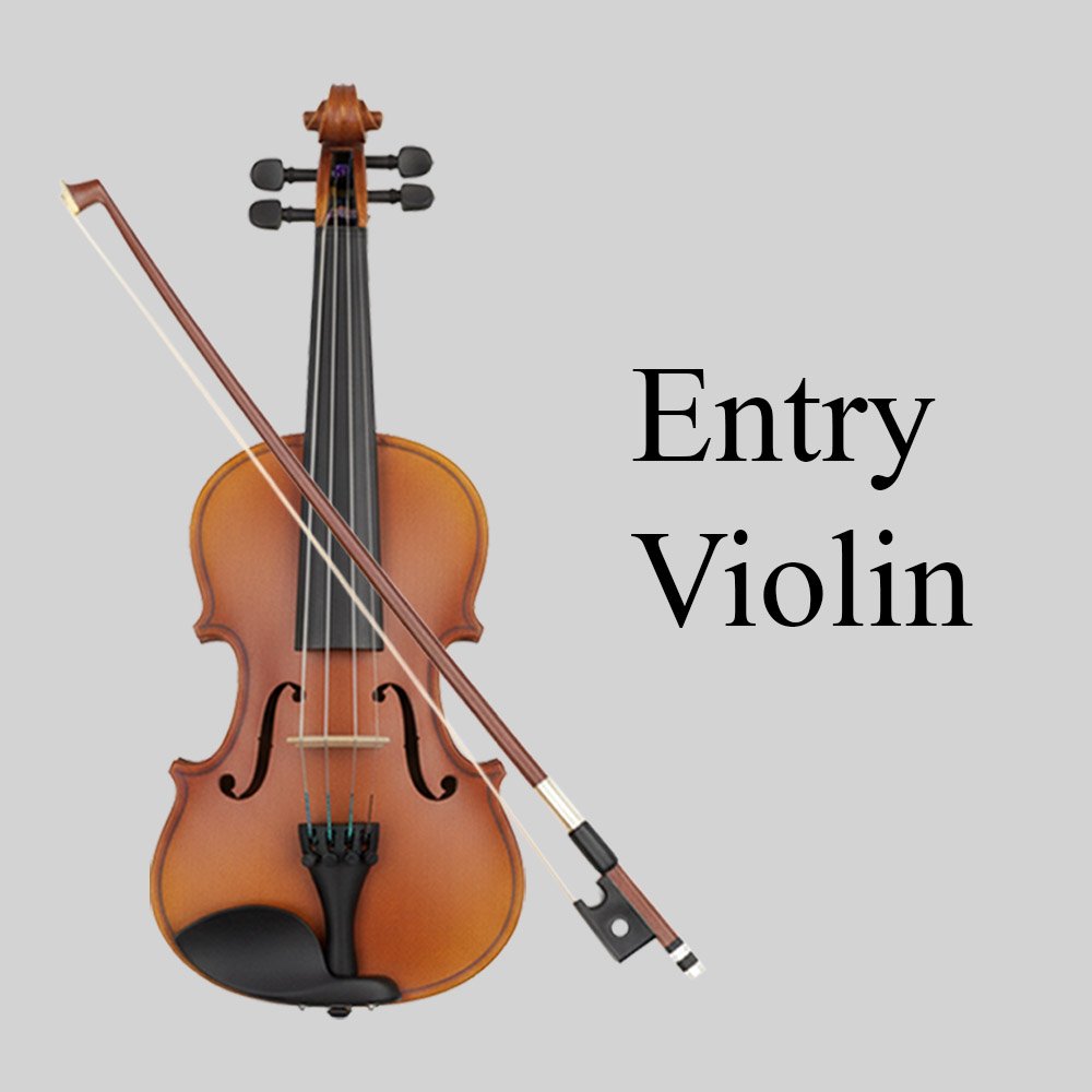 Entry-Violin-Cat