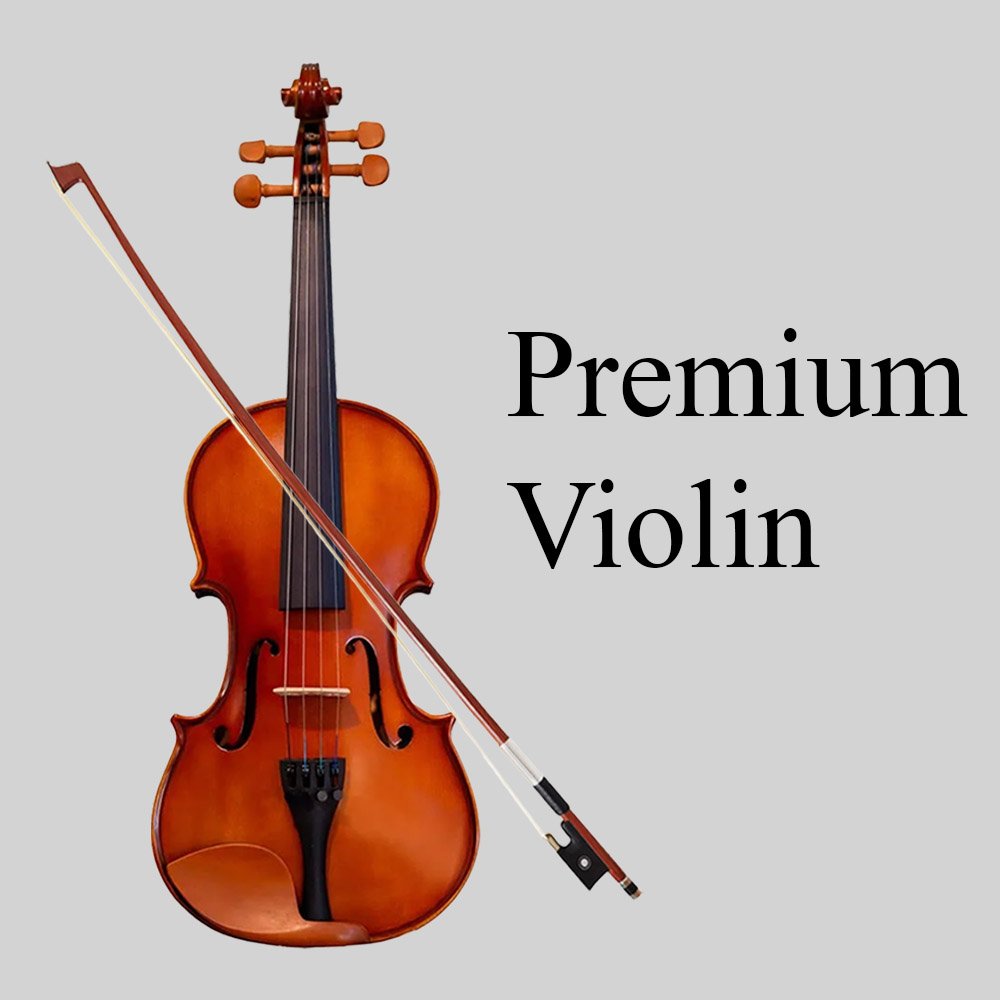 Premium-Violin-Cat